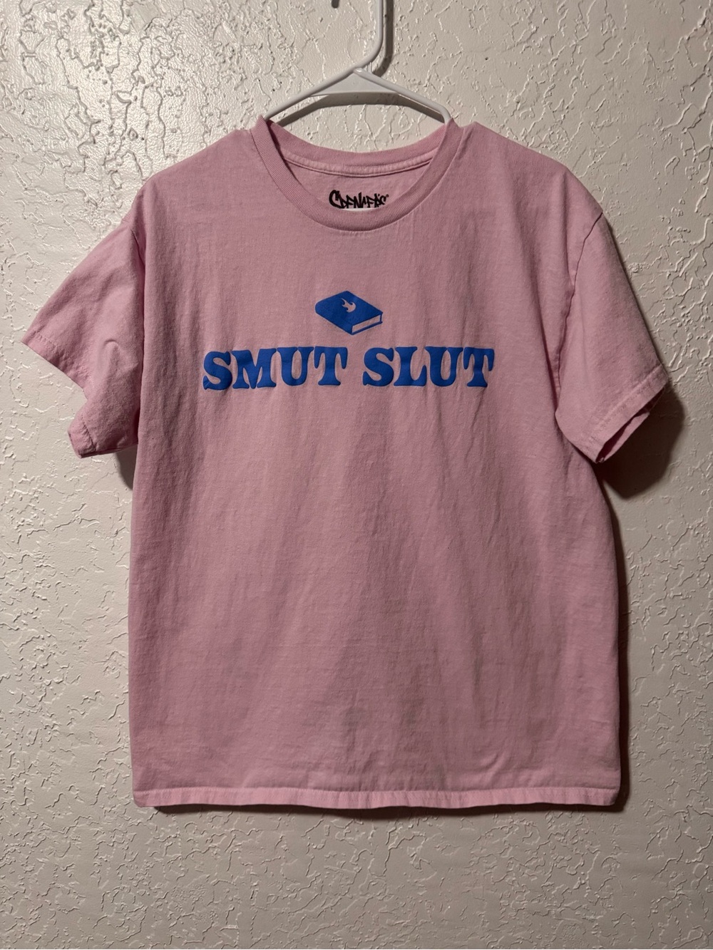 Spencer’s Graphic Light Pink and Blue Short Sleeve Funny “Smut Sl*t” Tshirt